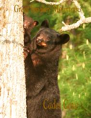 Black Bear standing with cub beside face